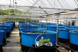 水產(chǎn)養(yǎng)殖用水源熱泵，恒溫冷暖兩用，耗電低